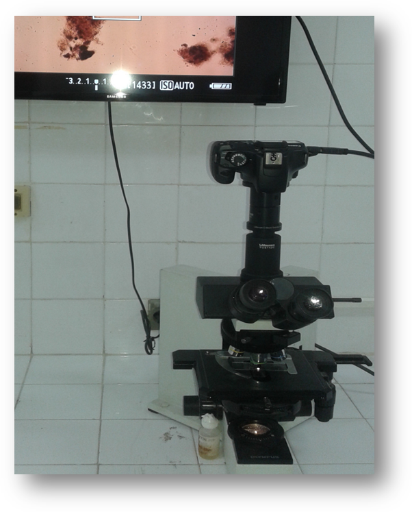 Microscope à contraste de phase OLYMPUS