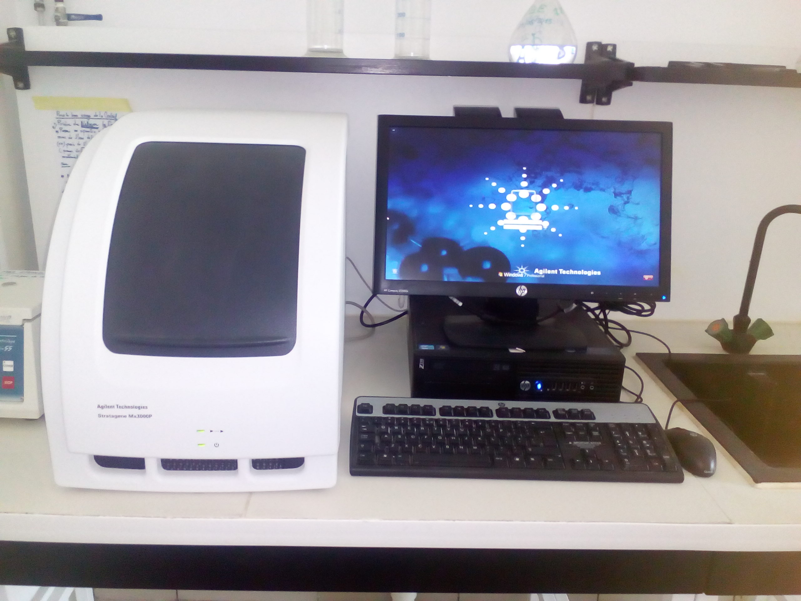 Système de PCR en temps réel : Agilent Technologies (Stratagem3000) 